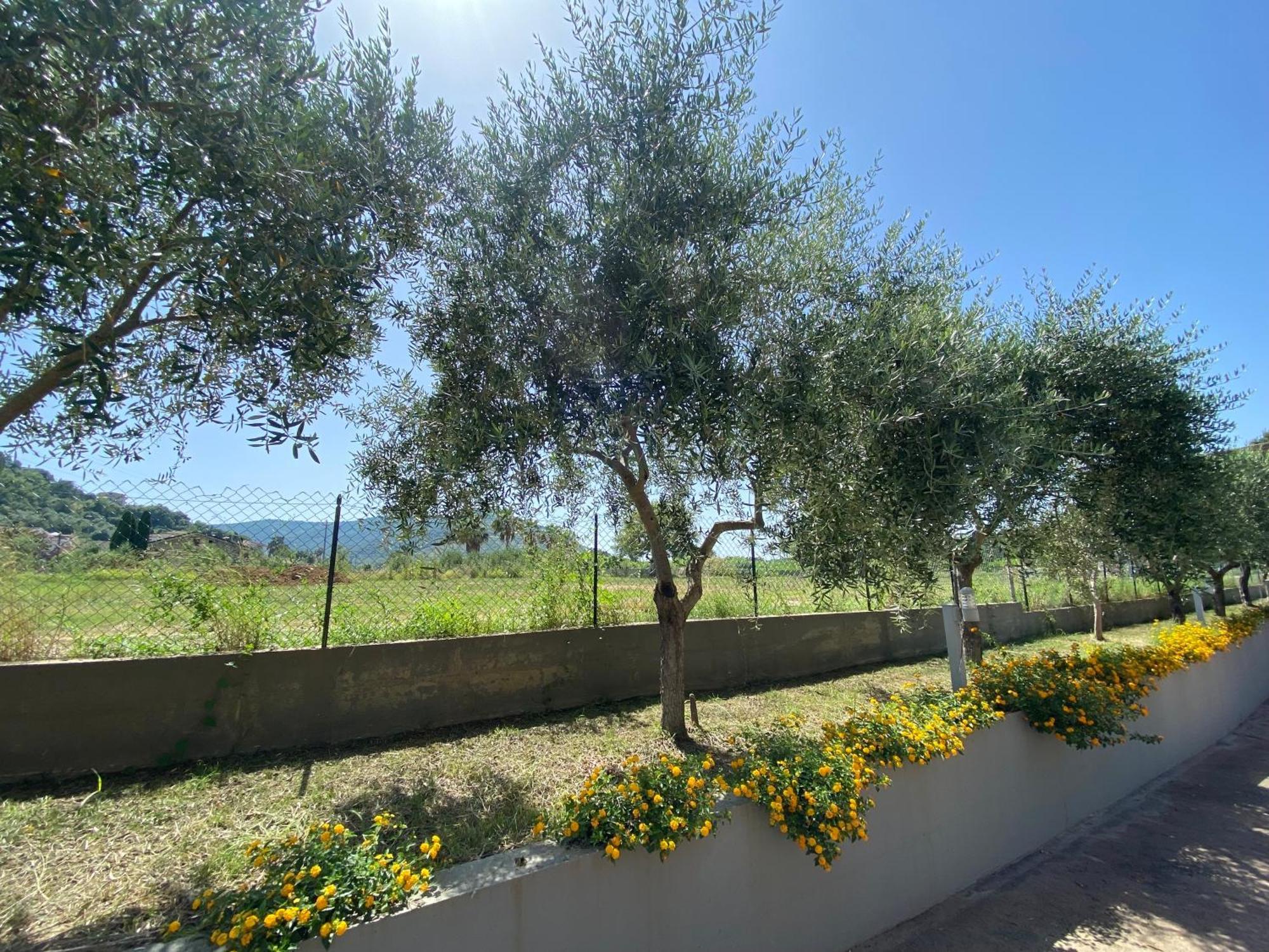 Miro' Agropoli Bed & Breakfast Exterior photo