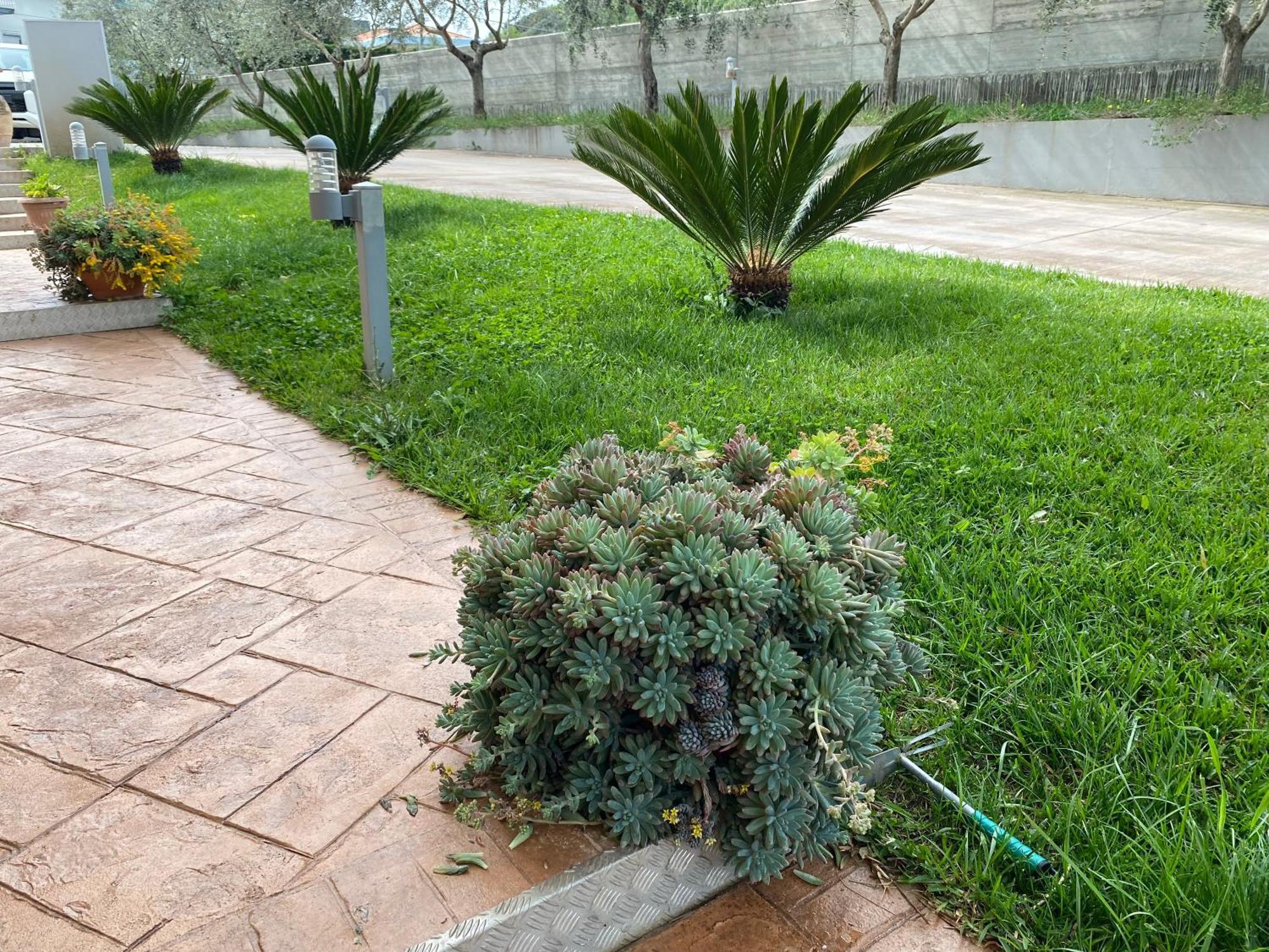 Miro' Agropoli Bed & Breakfast Exterior photo