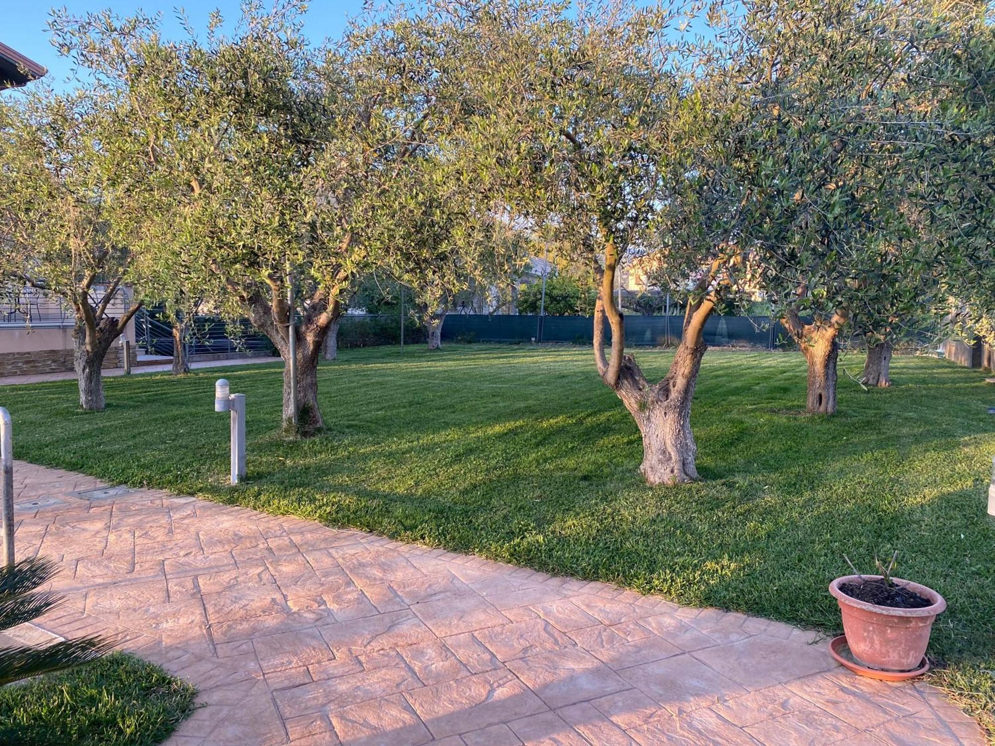 Miro' Agropoli Bed & Breakfast Exterior photo